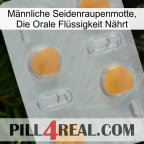 Männliche Seidenraupenmotte, Die Orale Flüssigkeit Nährt 24